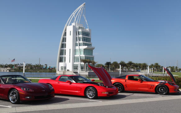 Vettes At The Port